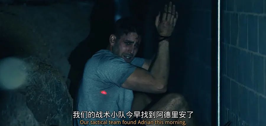 1级A片猛交BBBB激情碰撞