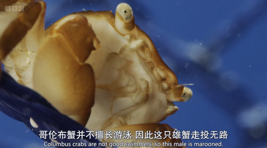法国浜性生交大片免费视频震撼上线,高清无码资源,独家法国风情 法国浜性生交大片免费视频震撼上线,高清无码资源,独家法国风情