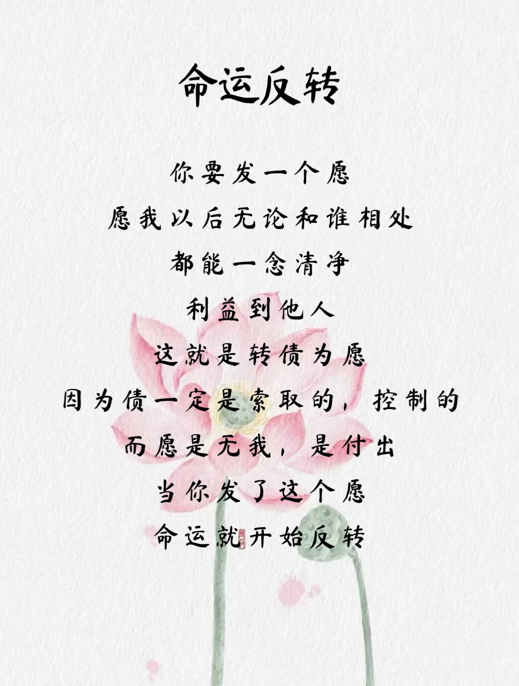 吴丽云与大肉楱的征服之战第6集浜，激情碰撞，悬念迭起，命运转折