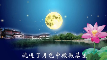 午夜婷婷丁香绽放暗香浮动，夜色温柔花香四溢，沉醉在这静谧芬芳时刻