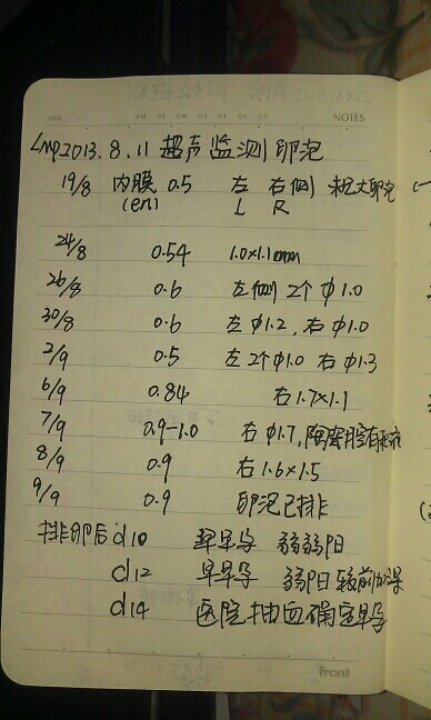二人努力生猴子全程免费完整版，真实记录备孕历程，分享科学方法与经验