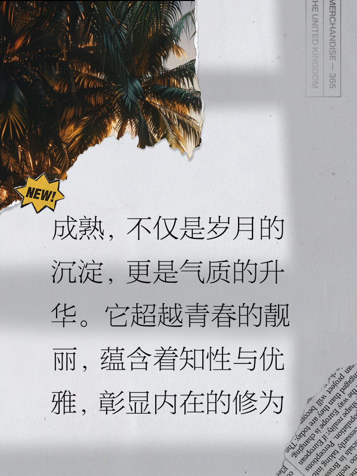 老奶奶曰比，岁月沉淀的智慧，温暖家庭故事，代代相传的温情，点亮生活希望