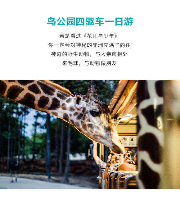 1.黄色片人与动物世界奇妙互动