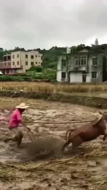 东北老太太的快乐生活，乡村趣事，传统美食与温馨回忆