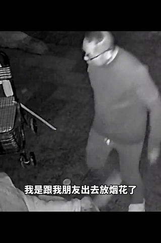 欧美老太人与兽性交视频引发热议，探讨伦理界限，关注动物保护与人性反思