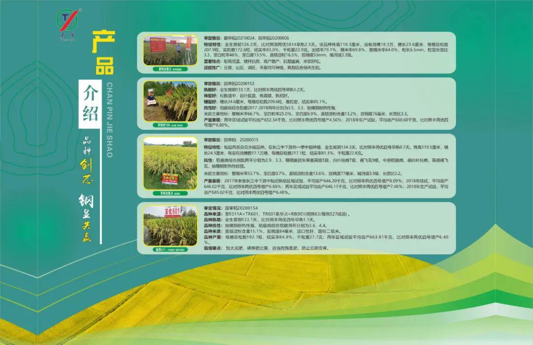 亚洲国产青青草茁壮成长，优质品种，丰收在望，田园风光美如画