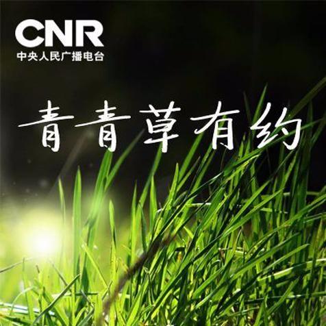 青青草视频成人最新资源免费高清在线观看，青青草视频成人无广告，青青草视频成人下载