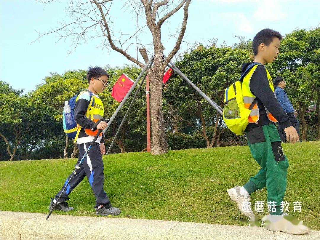 午夜狂欢网址畅享派对乐趣，探索精彩活动，发现无限欢乐