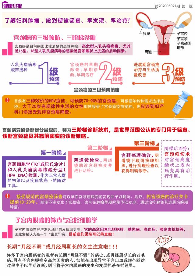 1.欧美交孕新趋势与健康指南