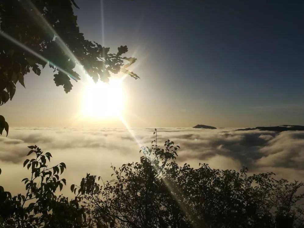 日韩性爽风情探秘，深度解析，独特视角带你领略