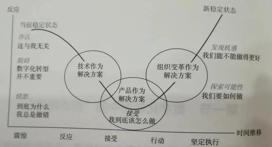 久久久久人妻洪水VT引发热议，深度解析背后原因，探索应对策略与长期影响