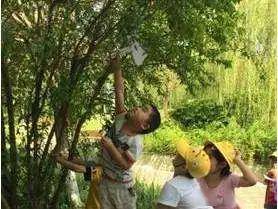 自由性中园老妈浜探索自然之美,享受生活乐趣,发现心灵净土 自由性中园老妈浜探索自然之美,享受生活乐趣,发现心灵净土