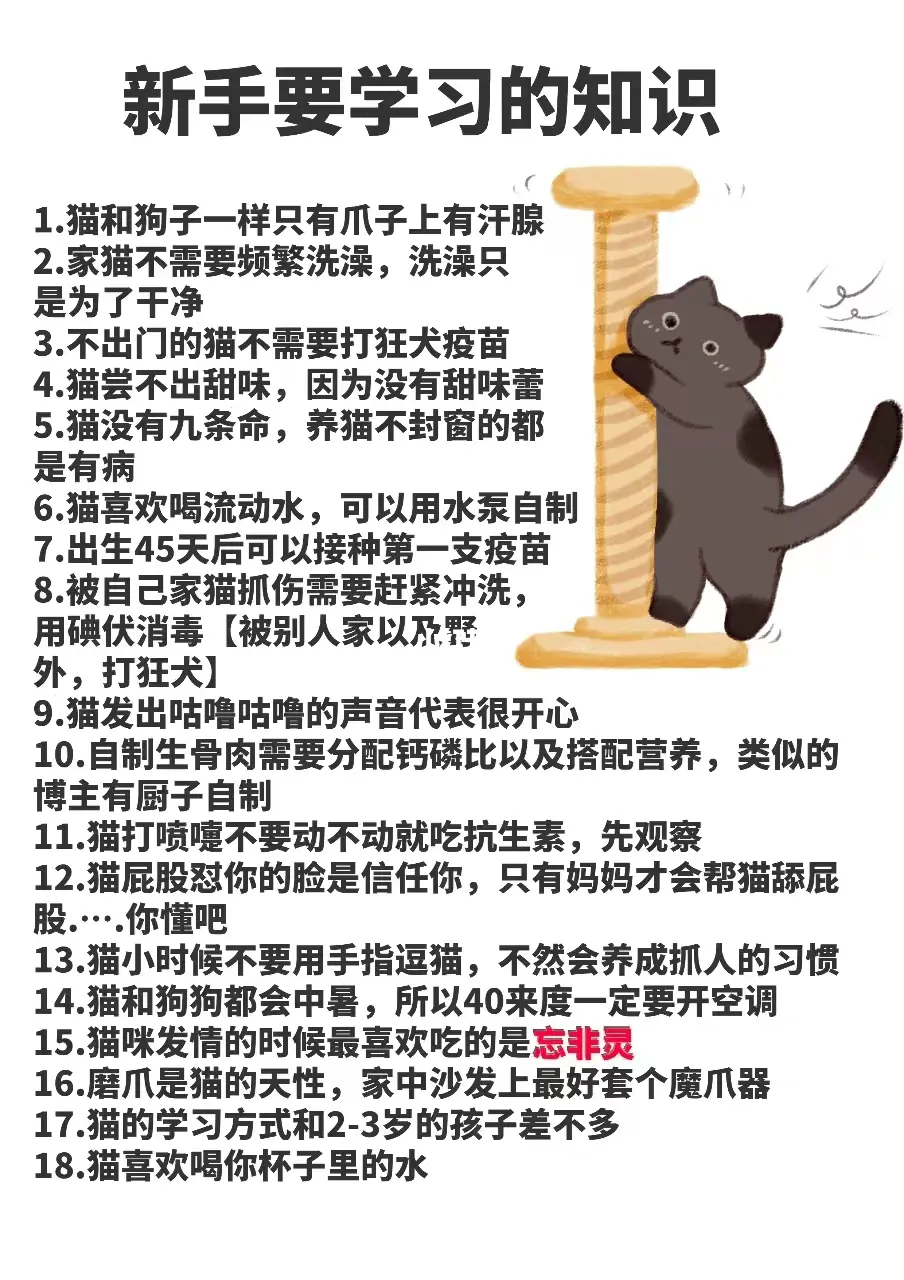 4.大雷擦狙狙官网入口，新手必看，技巧分享，快速入门