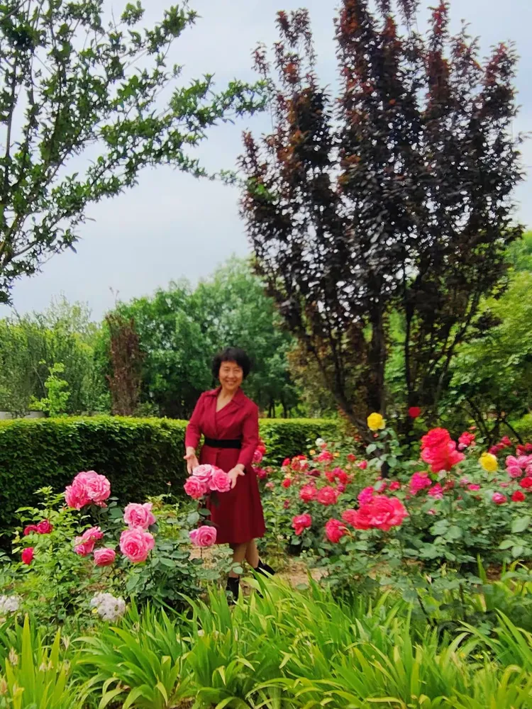 2.色婷婷丁香五月婷婷,芬芳满园,春日浪漫绽放,醉人花香随风飘散