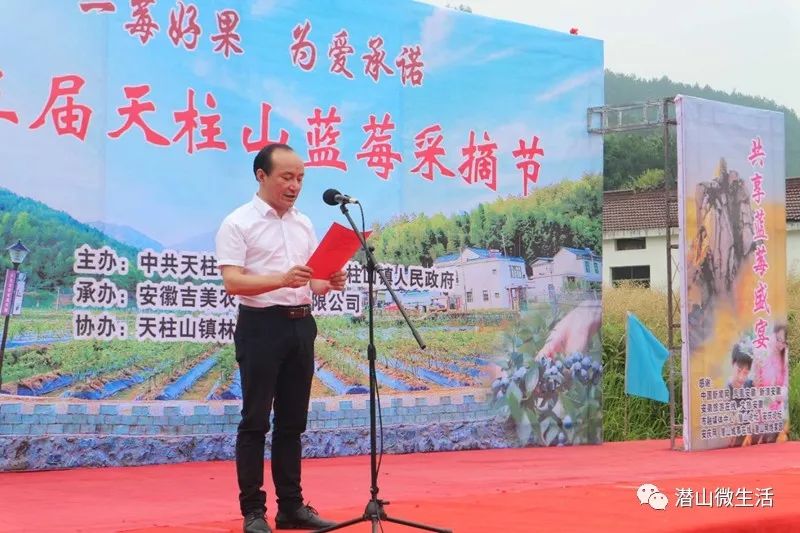 农村Av助力乡村振兴新篇章，探索田园生活之美，打造特色农业品牌