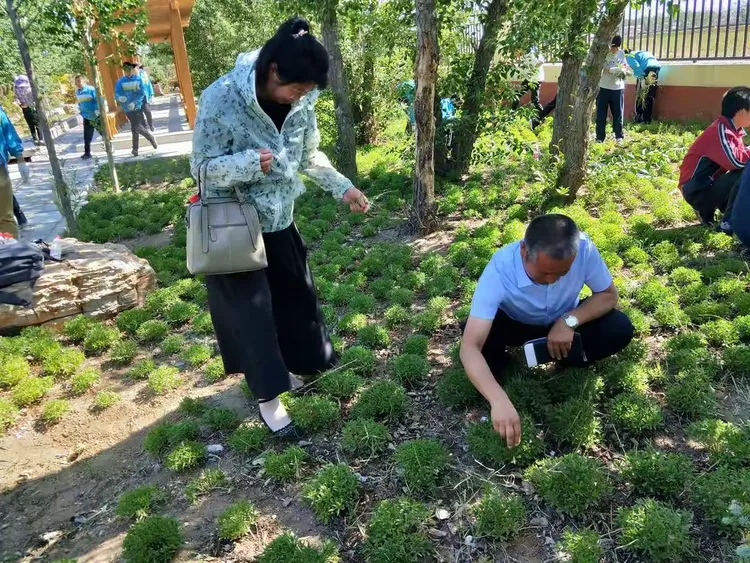 日本美女水真多揭秘温泉护肤秘诀，体验自然滋养，感受水润魅力
