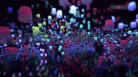 GIF777动态创意展示，高清画质流畅体验，让你的内容更生动有趣