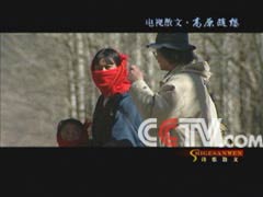2.波斯妇女浓毛大泬BBw浜独特魅力，传统与现代交织，神秘风情引人入胜