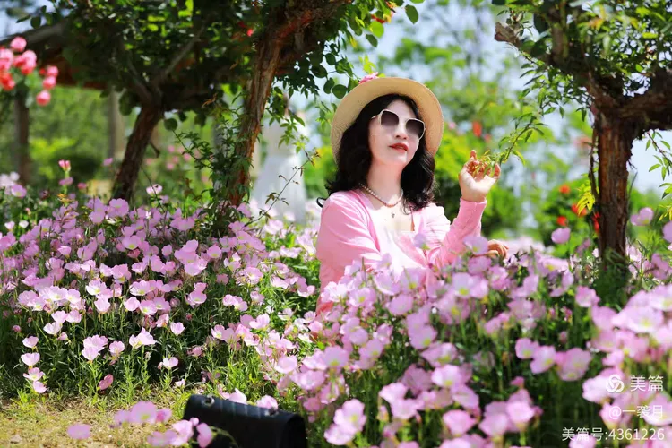 五月婷婷一区绽放初夏风情，花香满径，邂逅浪漫时光