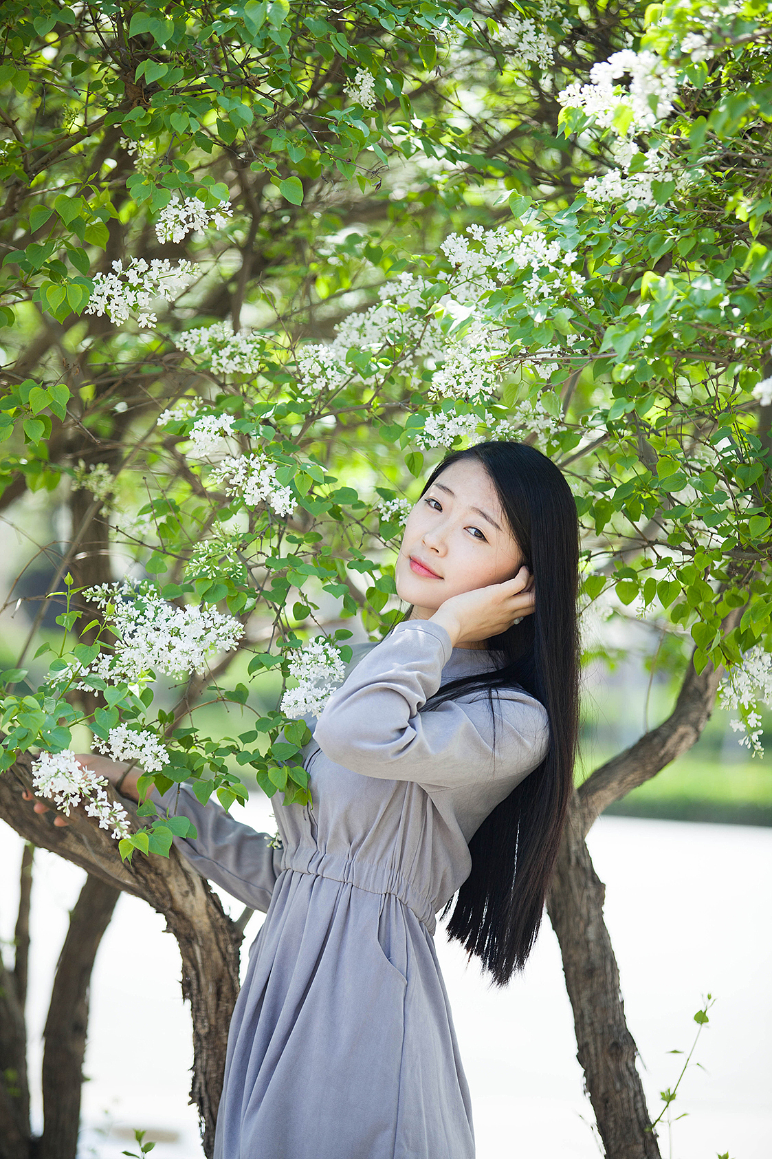 丁香伊人网花香满园情缘绽放，浪漫邂逅，幸福相伴