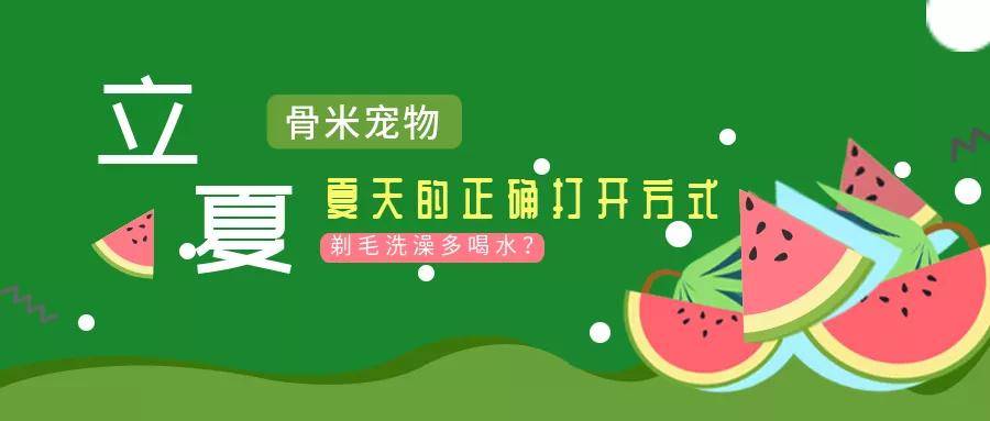 毛多水多做爰爽爽爽网站推荐优质内容，精选资源，满足需求，畅享极致体验