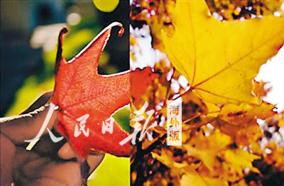 久久不卡片珍藏时光的浪漫，让爱意永不褪色，温暖每一个平凡日子