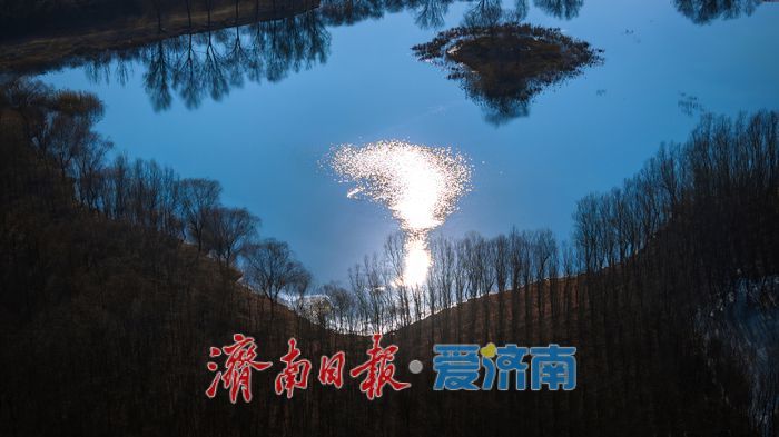 青青草婷婷绽放原野，微风轻拂，芬芳四溢，绘就自然画卷