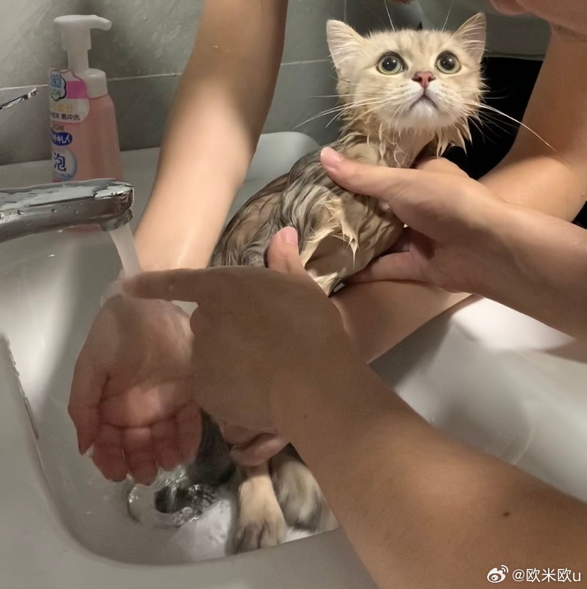 毛茸茸的屁毛洗澡偷拍浜引发热议，网友热议隐私安全，如何防范偷拍行为