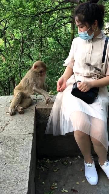 美女和男生一起生猴子的app浜带来浪漫邂逅，体验虚拟育儿乐趣，探索奇妙社交新玩法