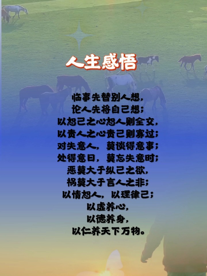 日本一级做人爱故事，温暖治愈，传递真情，感悟人生，品味生活