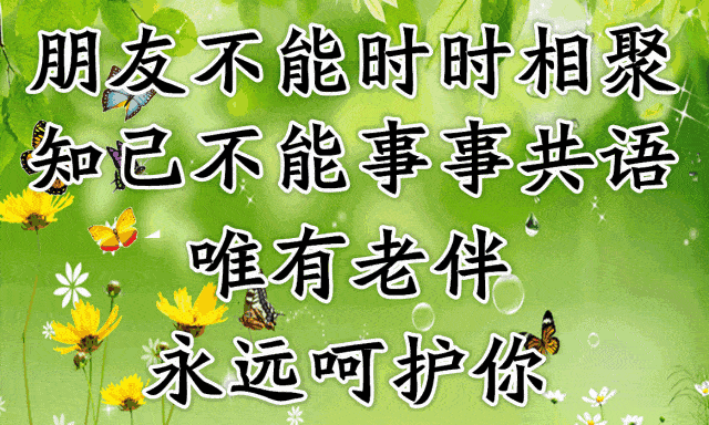 白头偕老恩爱绵长，老夫老妻温情岁月，相濡以沫共度晚年