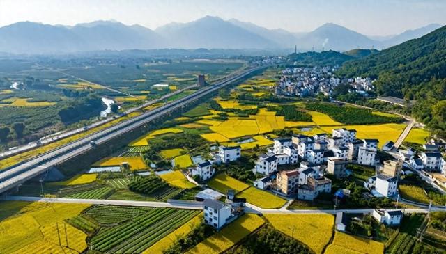 中国玉米地卖婬A片引发热议，乡村治理面临挑战，社会风气亟待净化