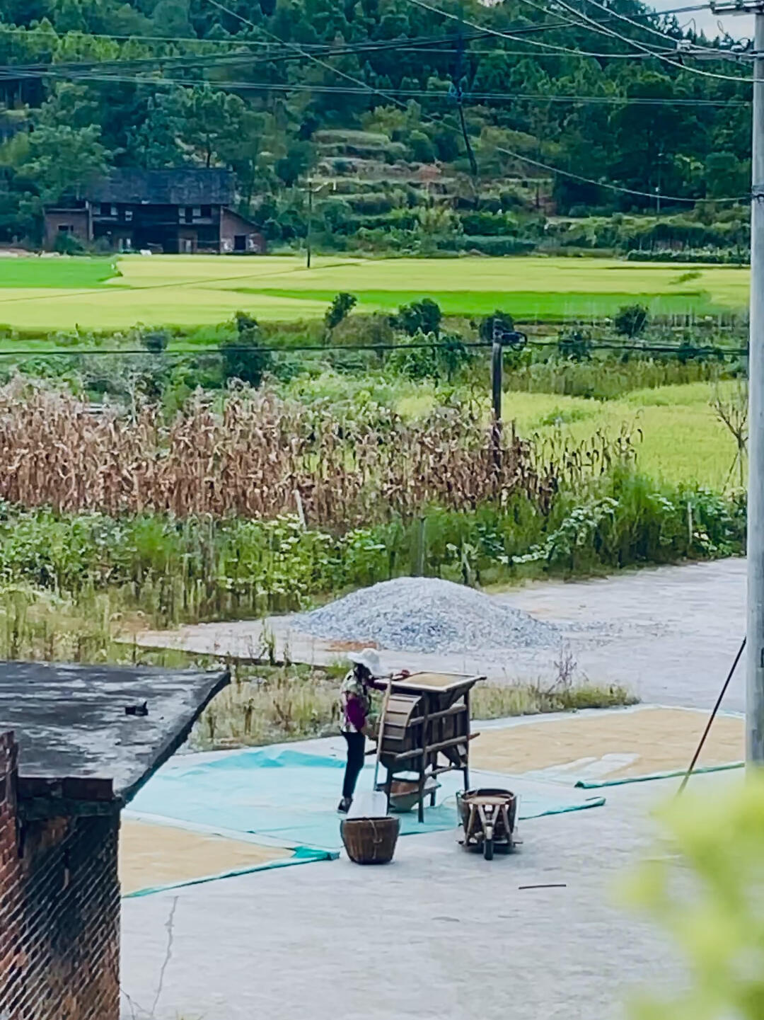 印度老太太老牲交传奇故事，乡村生活，传统与现代交织，情感深刻