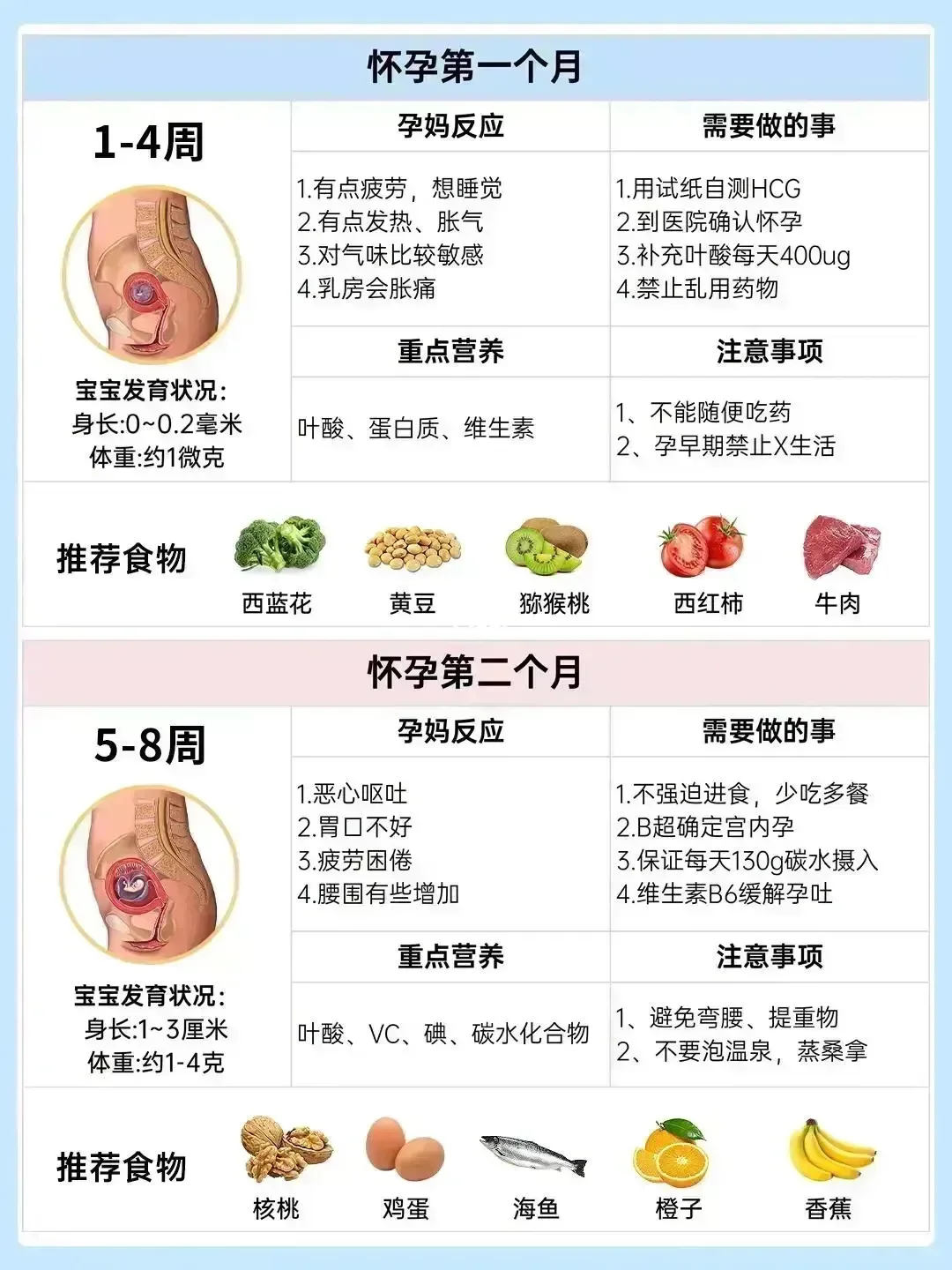日本孕妇交孕期营养指南，健康饮食建议，胎儿发育关键期注意事项