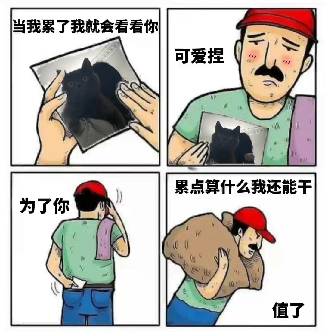 多毛肥婆传奇故事,乡村爱情,搞笑日常,温馨生活 多毛肥婆传奇故事,乡村爱情,搞笑日常,温馨生活