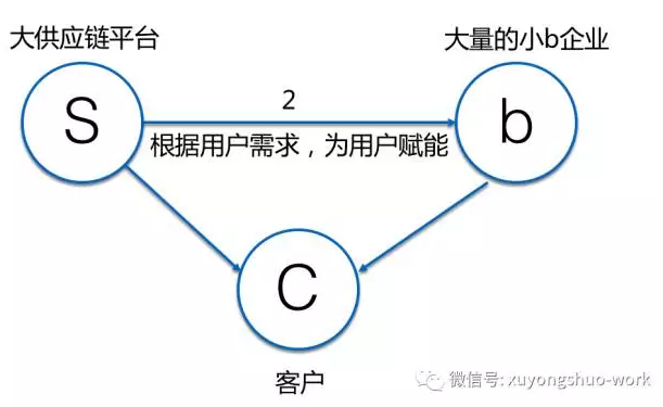 人与禽性动交行为研究及其生态影响分析，探讨共存模式，关注健康风险