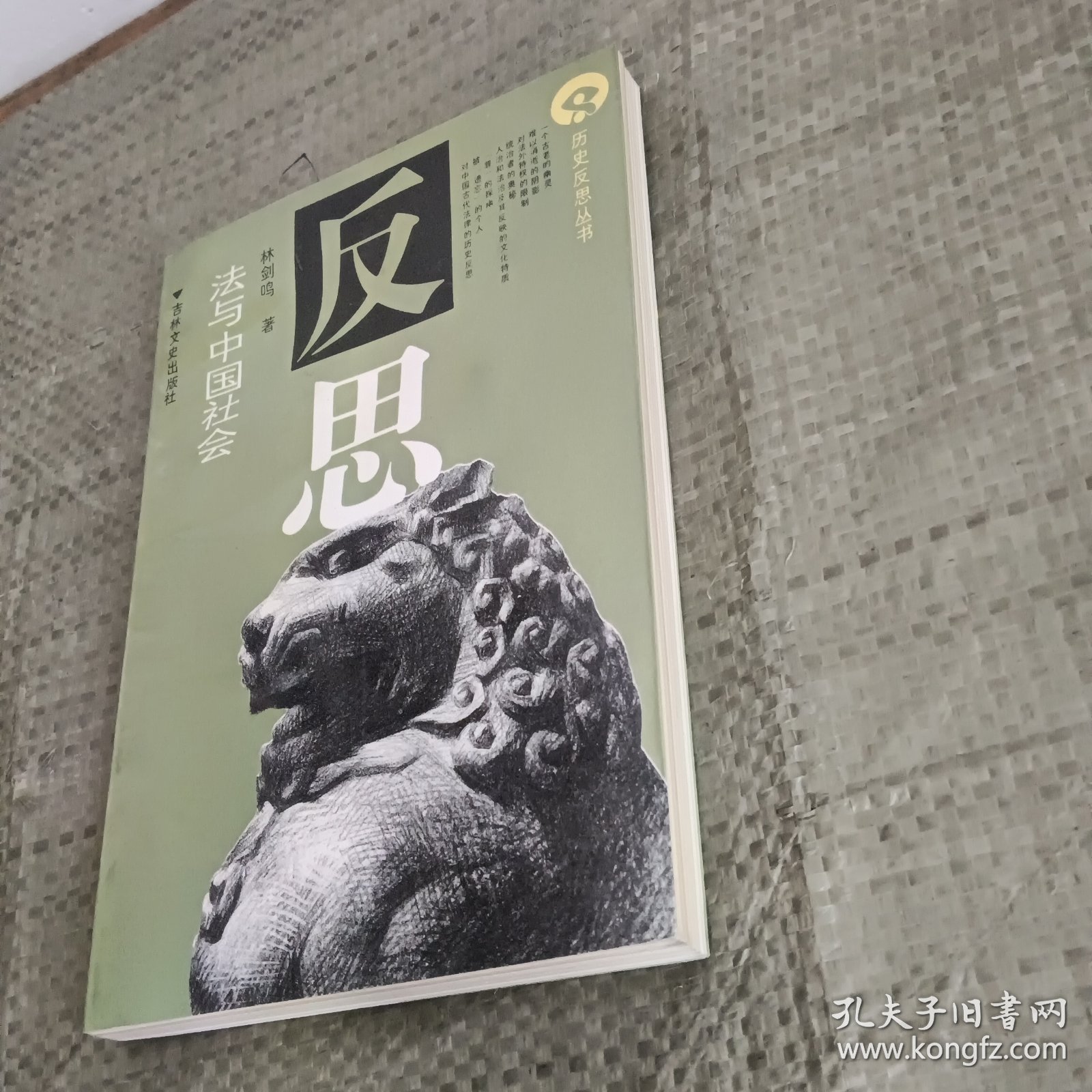 2.潘金莲AAA,古代女性悲剧,命运沉浮,社会反思