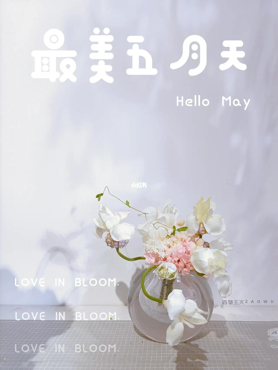 激情五月天丁香婷婷绽放芬芳，五月浪漫，青春飞扬