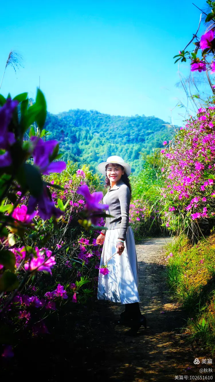 丁香五月基地绽放浪漫花海，探寻最美五月天，邂逅芬芳与诗意