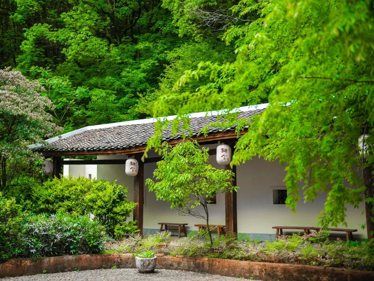 2.亚洲青青草，探寻绿意秘境，感受大地生机，拥抱自然芬芳