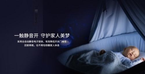 狡猾鱼鱼的秘密生活，探索水下世界，发现隐藏智慧