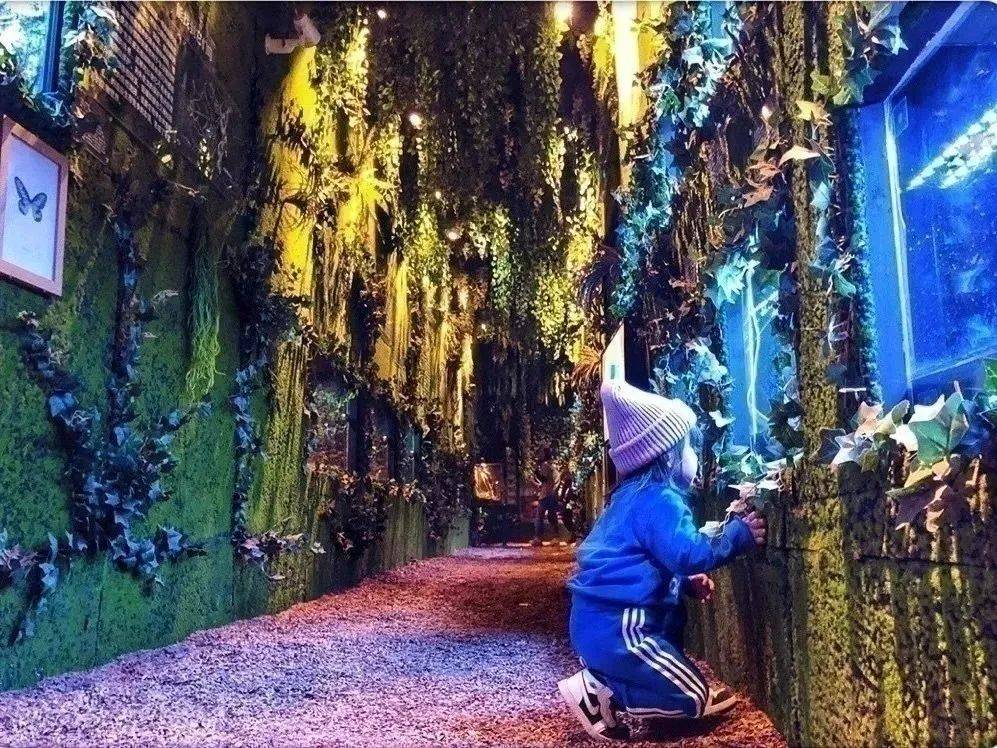 夜夜夜无码精彩呈现，高清画质畅享无限，沉浸式体验不容错过