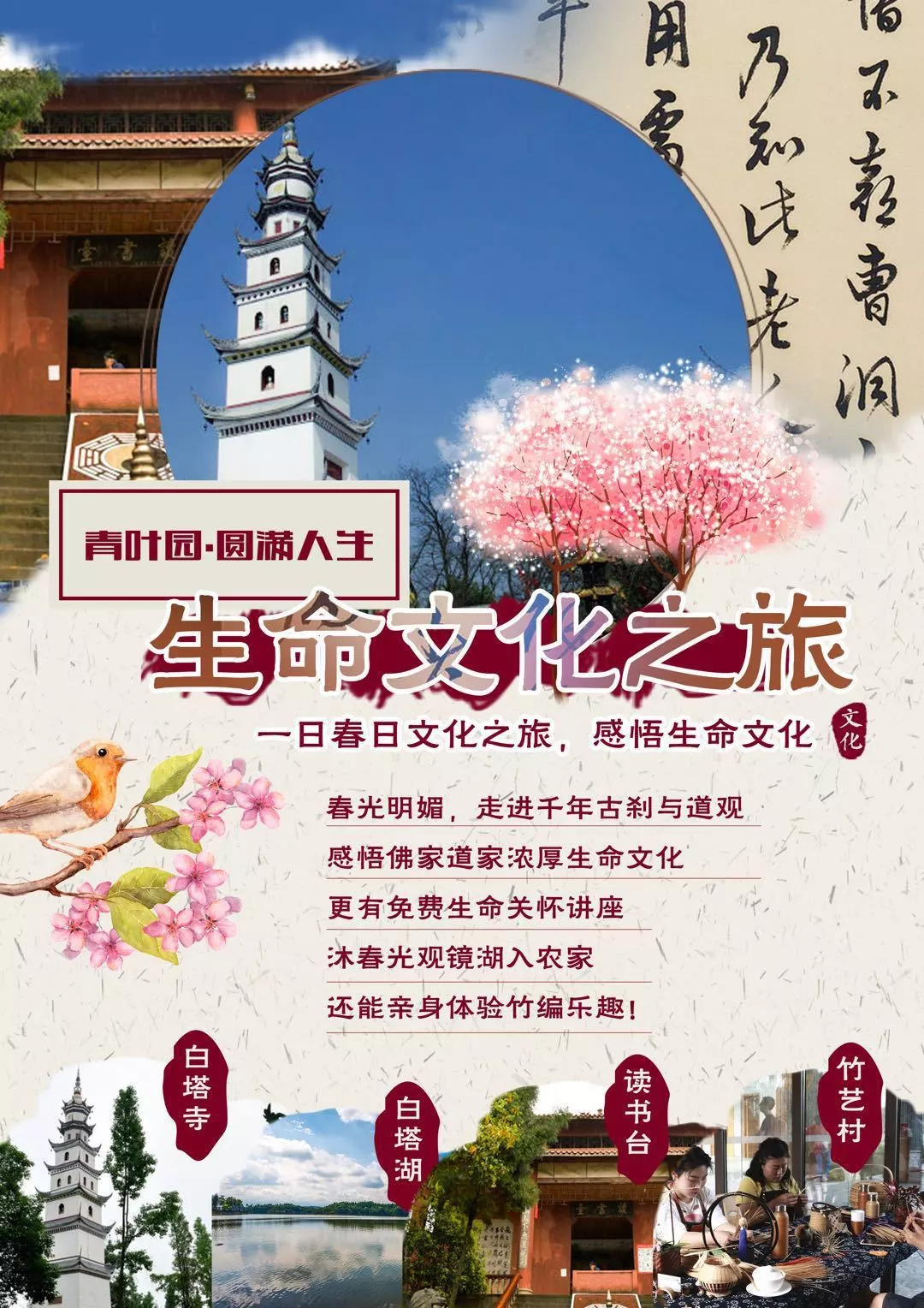 2.少妇做爰的独特体验，揭秘情感与技巧，探索愉悦之道