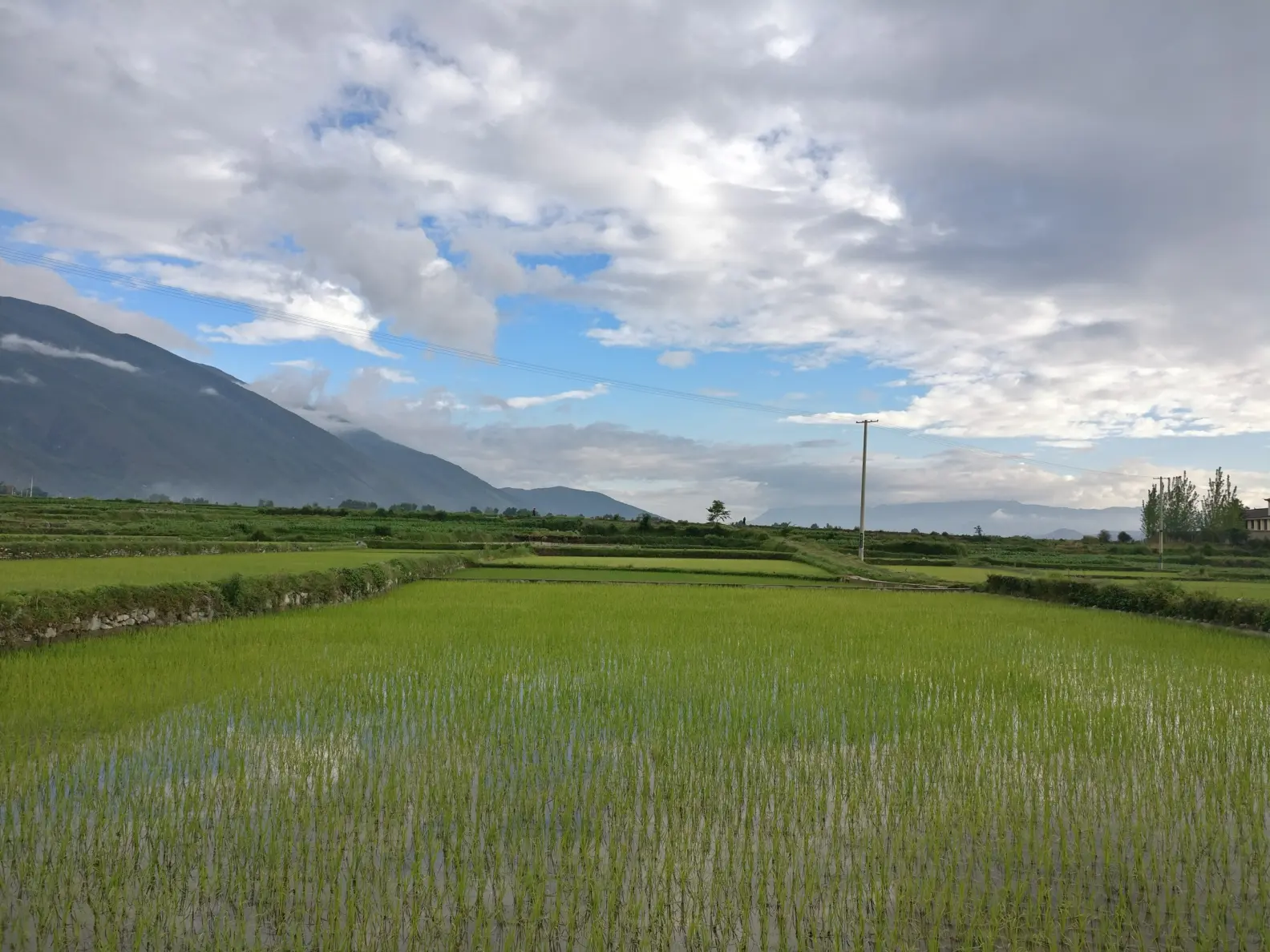 荷兰老太BBW的乡村生活,田园风光,温馨日常与美食分享 荷兰老太BBW的乡村生活,田园风光,温馨日常与美食分享