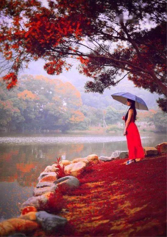 色悠悠久时光沉淀经典，岁月流转韵味悠长，探寻永恒之美