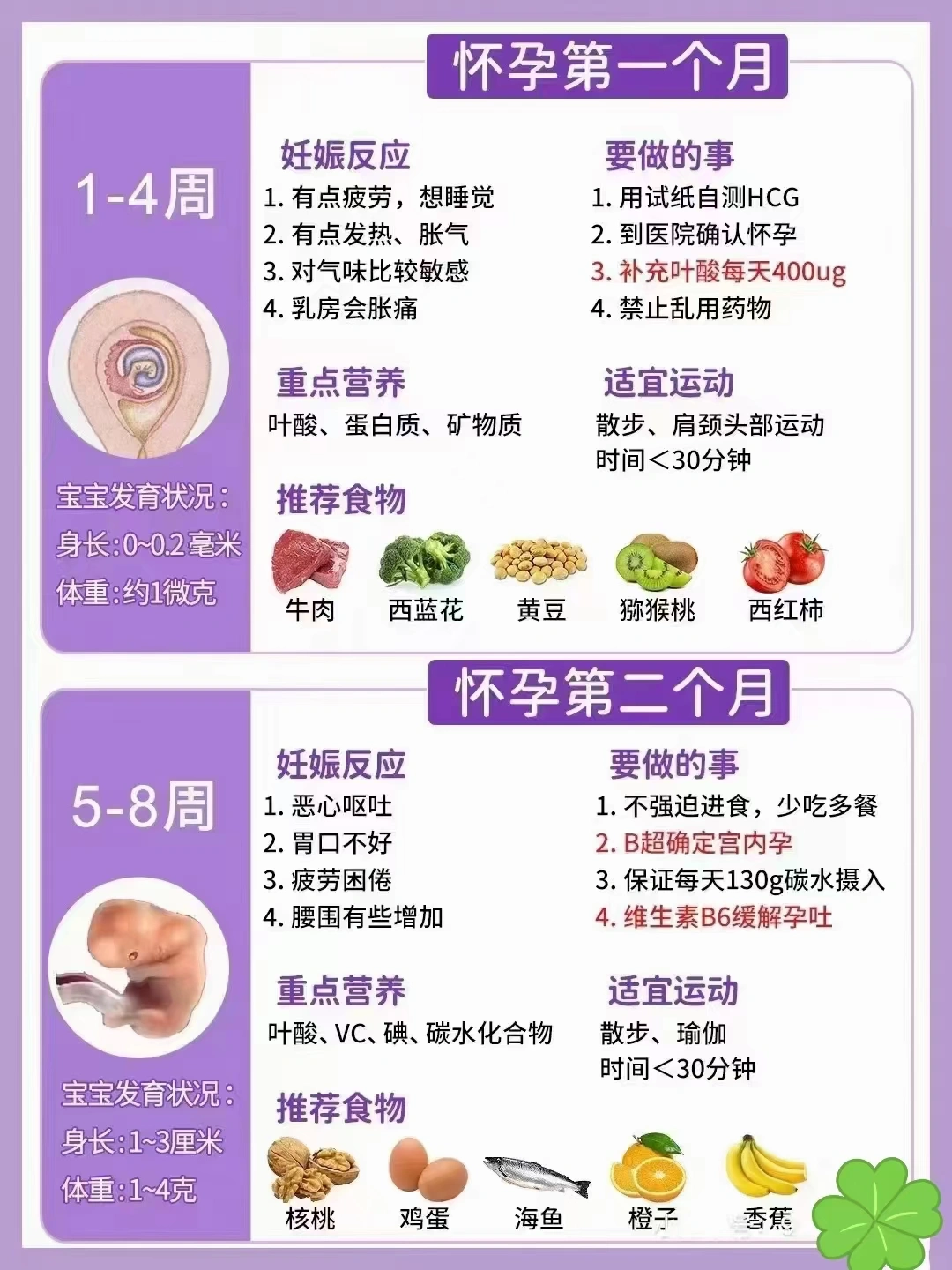 孕妇高清一区二区三区A片孕期健康指南，准妈妈必看，营养与运动全解析