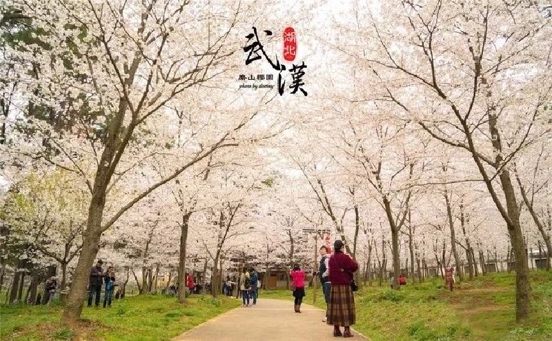2.极品扒开粉嫩小泬，解锁春日浪漫，邂逅温柔时光