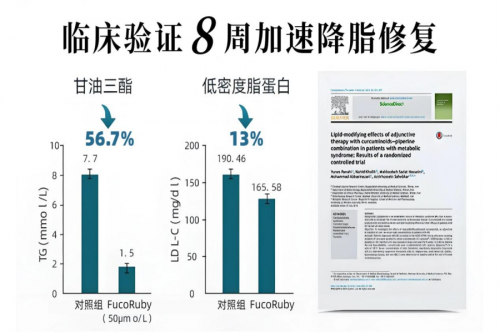 国产一区二区三区精华液AV精选测评，深度解析成分功效，揭秘真实使用体验