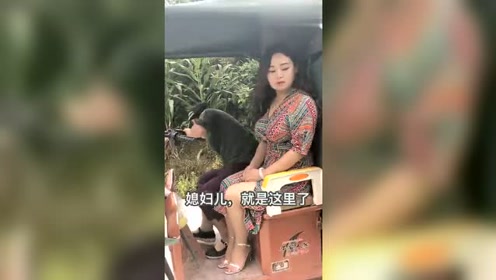 国产少妇自慰视频在线观看高清免费，真实偷拍，独家资源