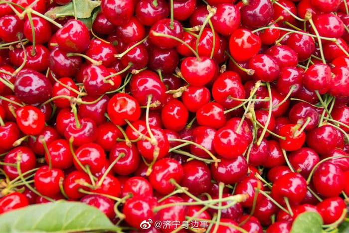 1.樱桃色岁绽放青春光芒
